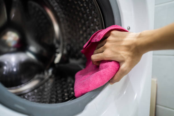 Mold Documentation for Insurance Claims in Clinton, SC