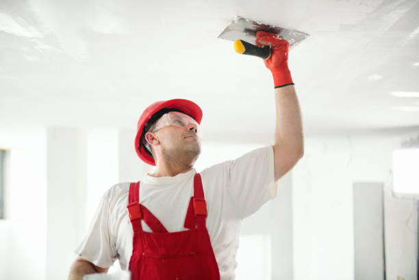 Dehumidification Services in Clinton, SC