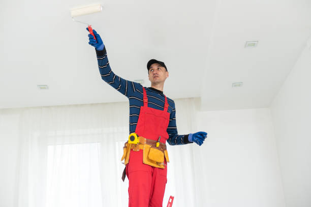 Best Black Mold Removal  in Clinton, SC